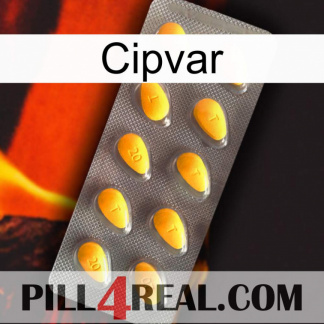 Cipvar cialis1